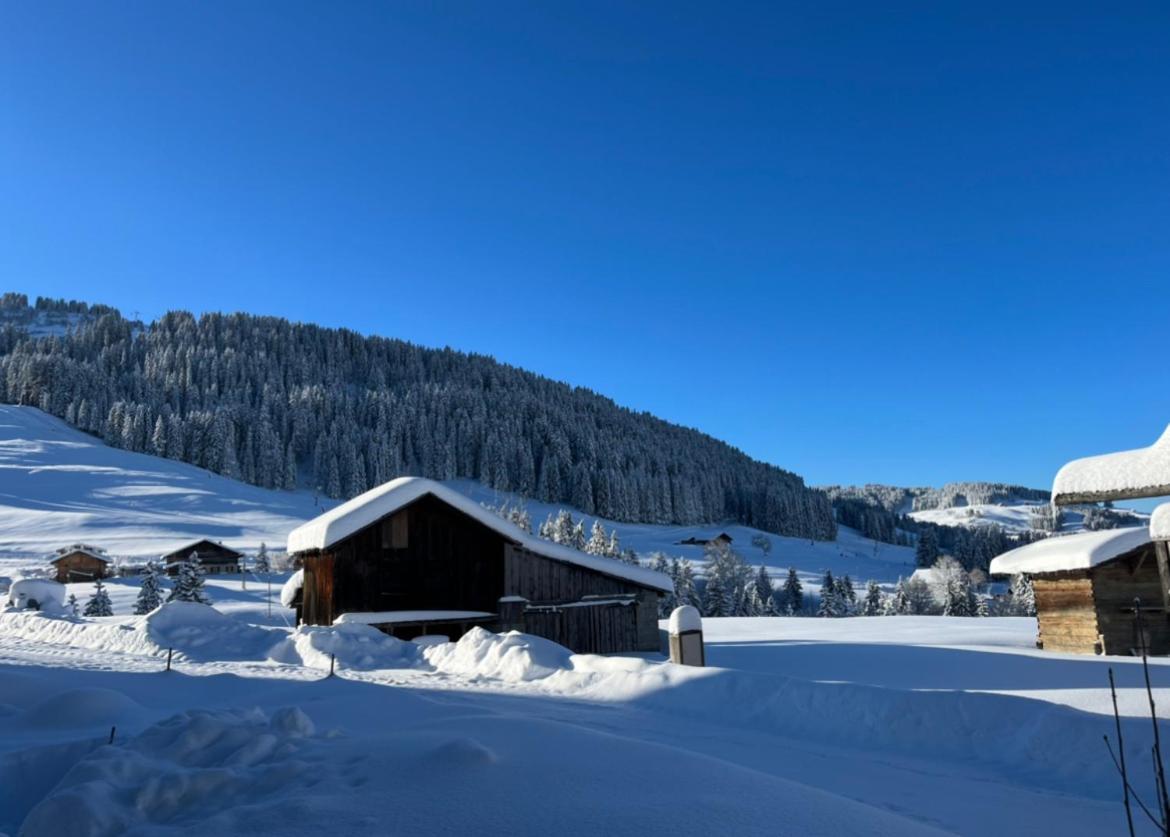 Le Chalet Du Cret - 8 Pers, Tout Confort Avec Jacuzzi Notre-Dame-de-Bellecombe Exterior foto
